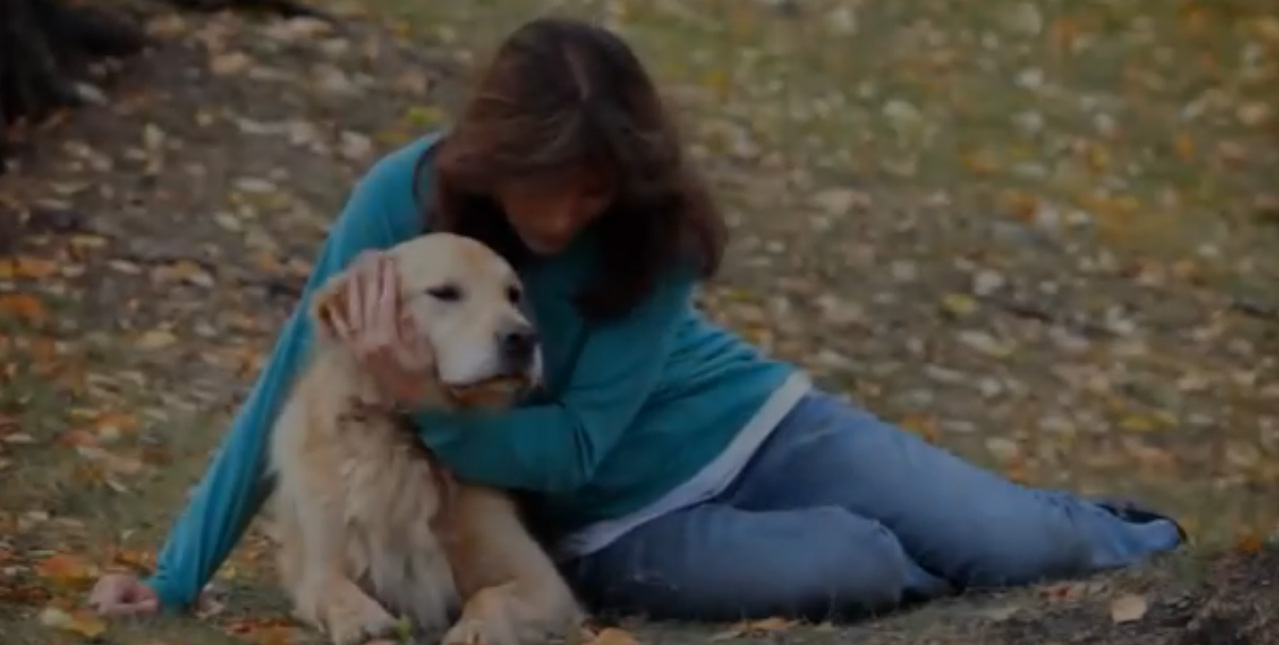 Buena salud para tu mascota