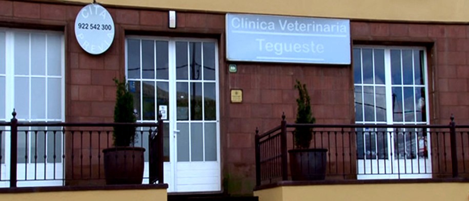 Instalaciones Clínica Veterinaria Tegueste